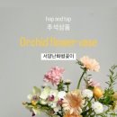 햅앤탭 이미지