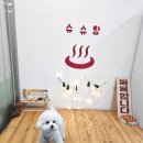 슈슈댕 이미지