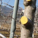 태송농장 이미지