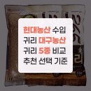 현대농산 수입 귀리 대구농산 귀리 5종 비교 추천 선택 기준
