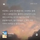 와플칸 & 해피벌쓰댕 | +1살 기념 일상