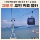 강아지정류장 | 제부도 서해랑 케이블카 크리스탈 캐빈 애견 동반 후기 (feat. 경기도 가볼만한 곳)