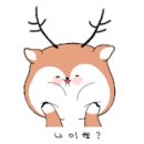 라뽀즈