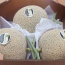 (주)로츠 이미지