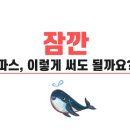 파스 잘라서 붙여도 될까요? 파스의 올바른 사용법! 이미지