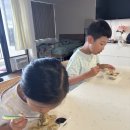 빅슈퍼마켓 | DAY13. 투로 렌트카 이용하기, 와이켈레아울렛, 돌 플랜테이션, 팔라마슈퍼마켓