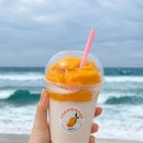 코코망고 | 양양 하조대 카페 추천! 시원한 열대과일 쉐이크 맛집 코코망고 내돈내산 후기
