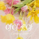 아이좋아 이데일리