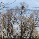 (주)엘에이케이 네이버블로그