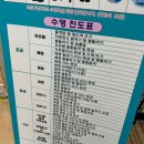 진남수영장 | 여수 진남수영장 초급반 강습 1일차 | 수린이 수영후기#2