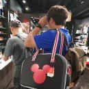 미키애견 이미지