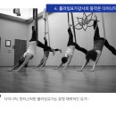 라인홀릭플라잉요가