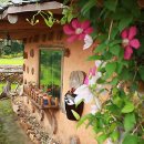 쌍둥이네흙집 이미지