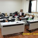 필애견훈련학교 이미지