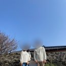 달고나민박 이미지