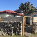 제주청년살이 이미지