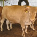 차오름농장 이미지