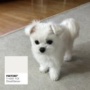 나루텍 | 2025, 12월