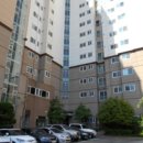 진해대로 이미지