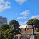 서울재동초등학교 | [서울 북촌] 경복궁보고 황생가칼국수 웨이팅없이 종로 혼밥 포장 9년연속 미슐랭맛집 내돈내산후기