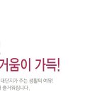 LH천년나무4단지(공공임대) 이미지