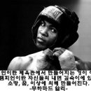 최기수복싱체육관 이미지