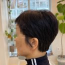 당가두로 | 목포헤어샵 미니마에서 커트하고 온 솔직 후기