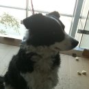 반포4동 주민센터 이미지