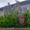 장미회관 이미지