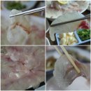 사천회집