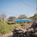 꿈꾸는 제주 이미지