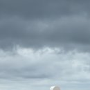 천인농장 이미지