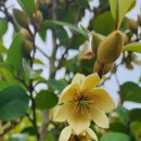 에그리나 이미지