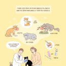 문막동물병원 이미지