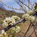 남성교차로 4 이미지