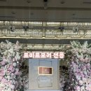 갑-210 | 르비르모어 선릉 ｜ 강남웨딩홀 선릉웨딩홀 웨딩홀 상담 후기 (계약X)