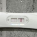 임신준비~임신5주 - 배테기 , 산전검사 , 초음파 확인까지! ✅✅