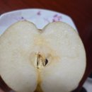대남농원 이미지