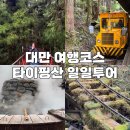 대만 여행코스 타이핑산 일일투어, 봉봉열차 탑승, 지우허온천 후기