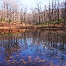 연못으로 이미지