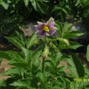 재구농장 이미지