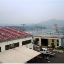 대광 태양광발전소 이미지