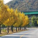 대률초등학교 이미지