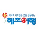 시선여행사