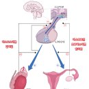 경희아이들한방소아과한의원 이미지