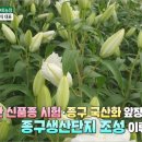 최명식농장 이미지