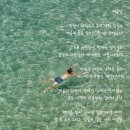 여름;달