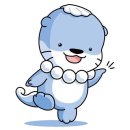 포항물회 | 웨이팅 횟집, 부산 광안리 물회 맛집 &#39;포항물회&#39; 후기 - 물회, 매운탕