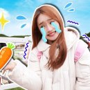 아이웨이투어 이미지