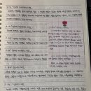 김수연 &lt;스위처블 러브 스토리&gt; 독서 후기 / 2023. 11 / 엘리